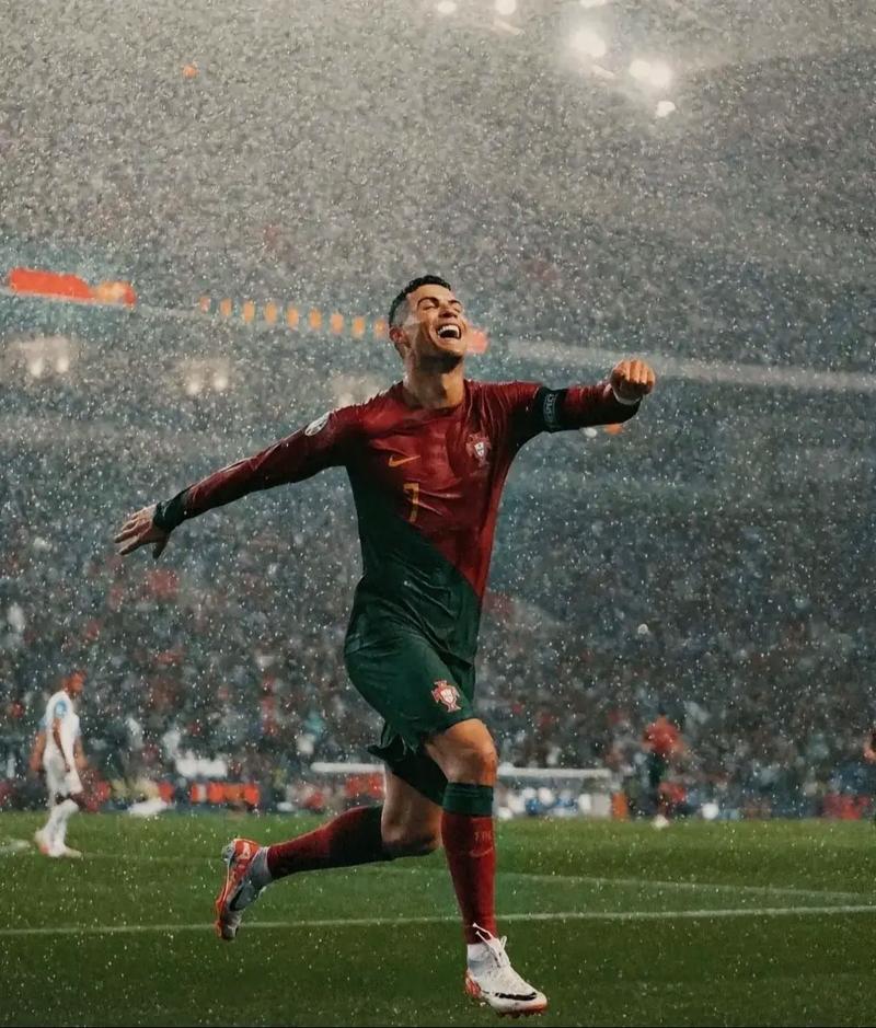 阿布扎比F1一练综述：诺里斯夺冠，维斯塔潘紧随其后，勒克莱尔居第三